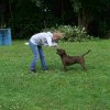 obeissance 2014-08-02